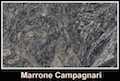 Marrone Campagnari brillante
